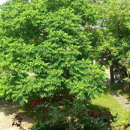 Marinas Guesthouse Kobuleti Ngoại thất bức ảnh